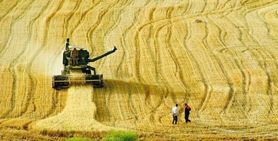 Tarıma dayalı mali destekler