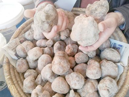 125 liradan satılıyor