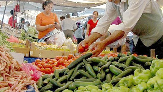 Sebze ve meyve fiyatları yarı yarıya düşecek