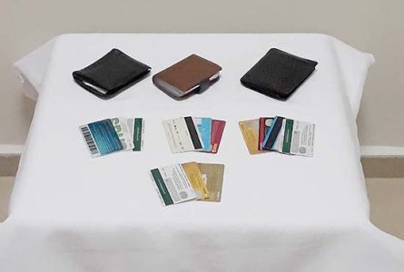 Bingöl'de hırsızlık operasyonu: 3 tutuklama 