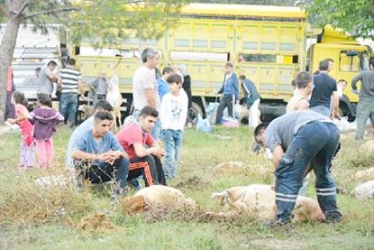 Vahşi kesime para cezası!