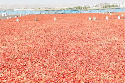 İsotun 'acı' serüveni başladı