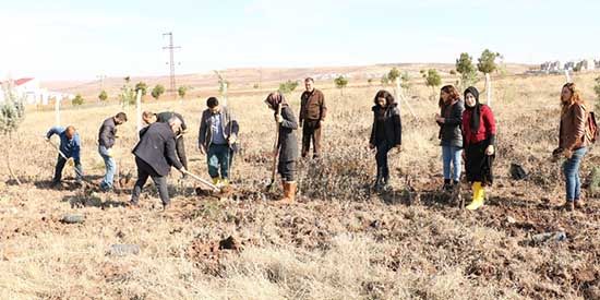 Sur’da Kadın Yaşam Ormanı'na yeni fidanlar dikildi