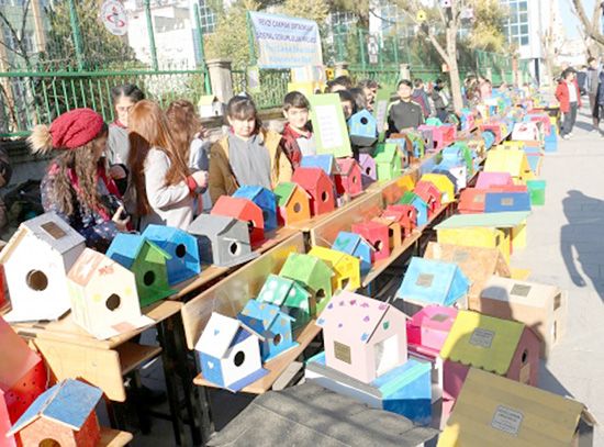 Öğrenciler kuş ve kedileri sıcak yuvaya kavuşturdu