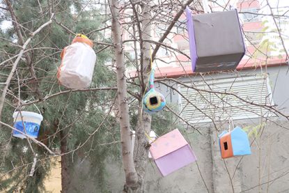 Atıklardan yuva yaptı!