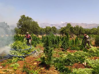 Finans kaynağı çökertildi!