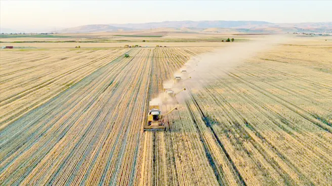 Çitçiye arazi kiralama!