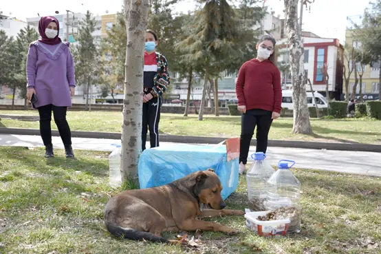 Minik yürekler minik dostlarını unutmadı