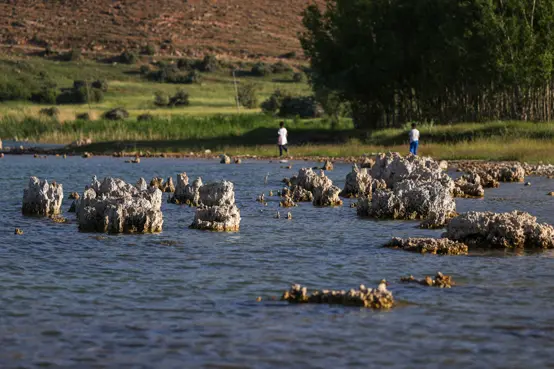 Binlerce yıllık mikrobiyalitler