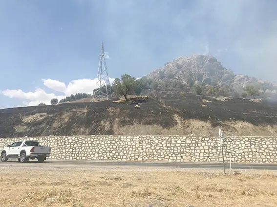 Kulp’ta 10 dönüm ormanlık alan yandı 