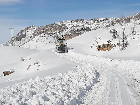 Güneydoğu'da yaşam dondu!