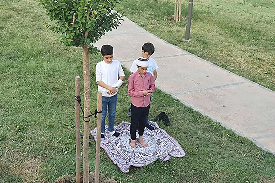 Takdir toplayan hareket