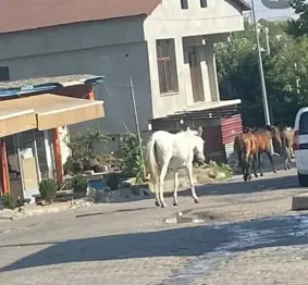 Kulp’ta köy manzarası!