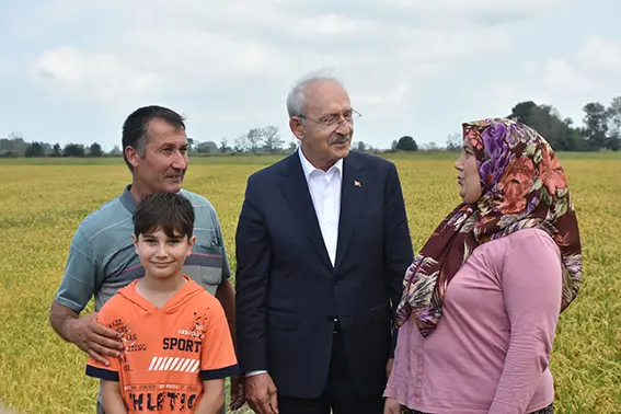 Kılıçdaroğlu çeltik tarlasında çiftçilerle buluştu