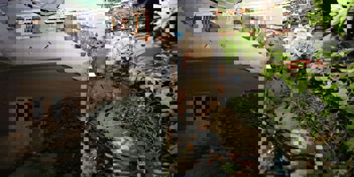 Torbacılara geçit yok!