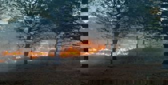 Çanakkale'de çıkan orman yangınında 2,8 hektar alan zarar gördü