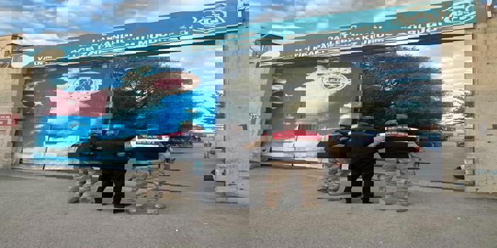 Van'da 54 düzensiz göçmen yakalandı