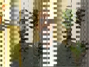  Hizbullah duyurdu: İsrail ile çatışan bir üyesinin öldürüldü