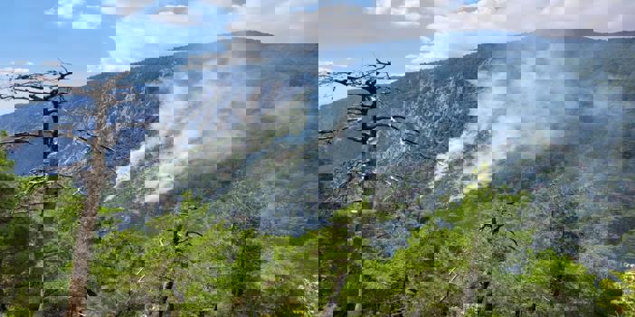 Burdur'da çıkan orman yangını kontrol altına alındı