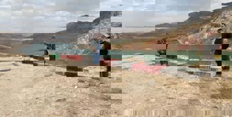 Samsun'da yetiştirilen 1000 sülün Siirt'te doğaya salındı