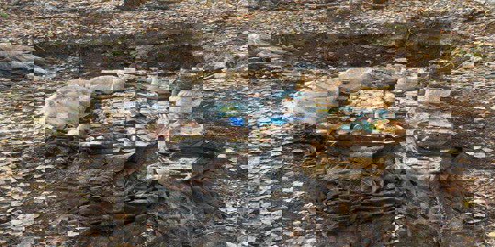 Muş'ta terör operasyonunda mühimmat ve yaşam malzemesi ele geçirildi