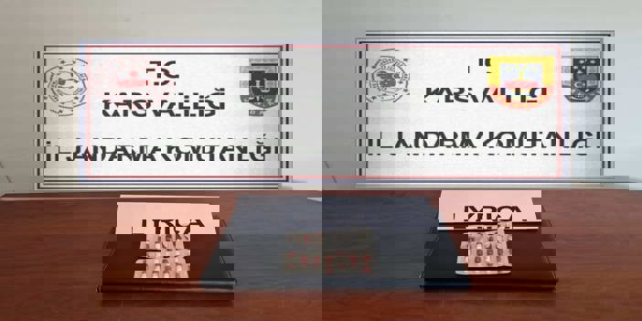 Kars'ta uyuşturucu hapla yakalanan sürücü gözaltına alındı