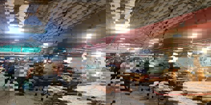 Adana'da sağlıksız koşullarda satılan 300 kilogram sakatat imha edildi