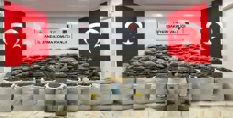 (Video) Diyarbakır'da el yapımı patlayıcı ve 204 kilogram esrar yakalandı