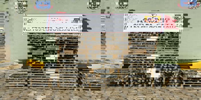 Hatay'da bir otomobilde 4 bin saka kuşu ele geçirildi