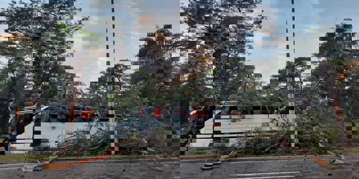 Servis otobüsünün üstüne ağaç devrildi 7 kişi yaralandı