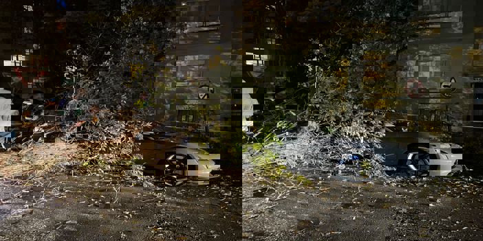 Ankara'da rüzgar nedeniyle üzerine ağaç devrilen otomobil hasar gördü