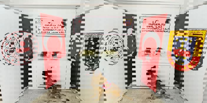 Bingöl'de 12 kilo 550 gram esrar ele geçirildi