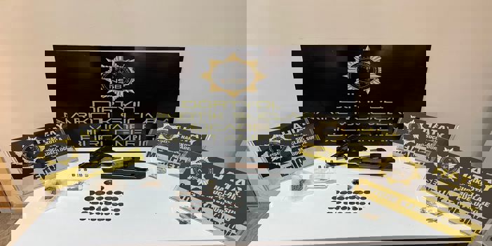 Hatay'da tarihi eser kaçakçılığı operasyonunda 1 kişi tutuklandı