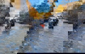 Sinek Çayı'nda kadın cesedi