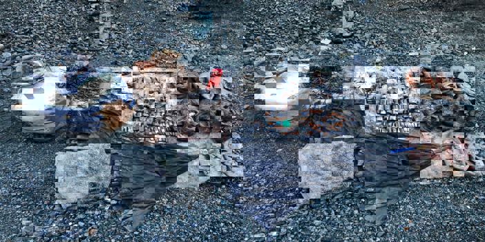 Kars'ta PKK'ya yönelik hava destekli operasyonda 5 sığınak imha edildi