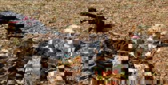 Muş'ta PKK'ya yönelik operasyonda el yapımı patlayıcı ve mühimmat ele geçirildi