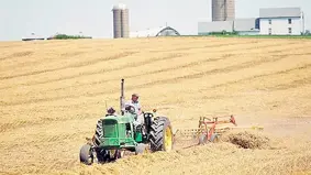 Tarımda destekler artırılsın