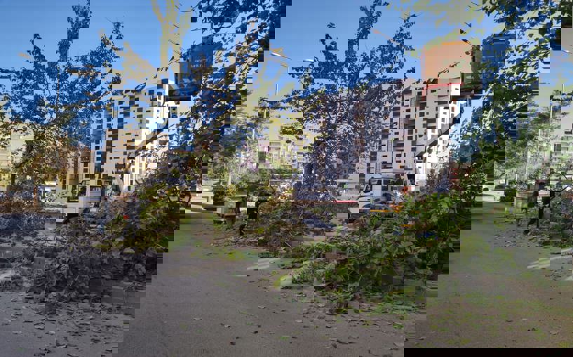 Görüntü kirliliği oluşturan ağaçlar belediye tarafından budandı