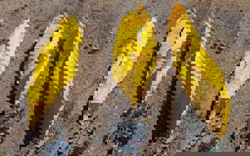 Yas değil, intikam vakti!