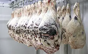 Kırmızı ette fiyat dengesi