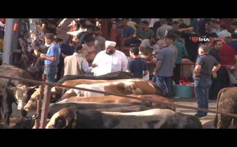 (Video) Umuma açık yerlerde kurban kesenlere para cezası kesilecek