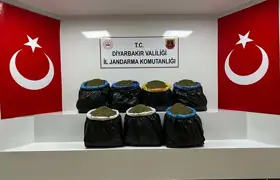 Topyekün Seferberlik