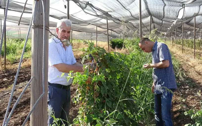 Kene ve akrep sokması arttı