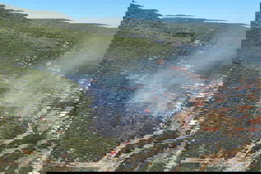 İzmir'in Kemalpaşa ilçesinde orman yangını çıktı