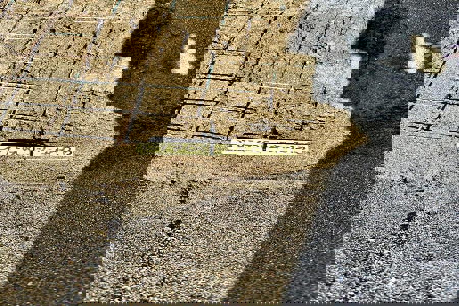 İztuzu sahilindeki caretta caretta yuvalarının sayısı 700'e ulaştı