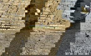 İztuzu sahilindeki caretta caretta yuvalarının sayısı 700'e ulaştı