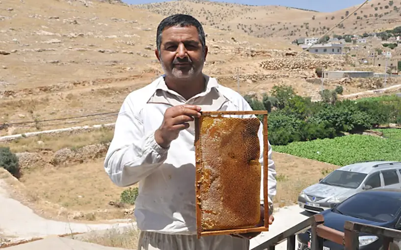 Kızıltepe'de bal hasadı yapıldı