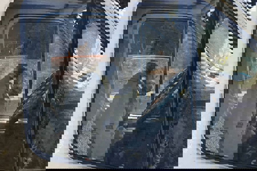 Aydın'da Pitbull kamyonete girdi, sürücü saatlerce yardım bekledi