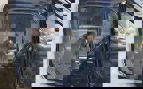 Aydın'da Pitbull kamyonete girdi, sürücü saatlerce yardım bekledi