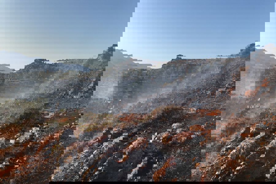 Bodrum'da makilik ve otluk alanda çıkan yangın söndürüldü